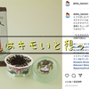 キモめのパッケージ“Uchi Cafe’(ウチカフェ)”のピスタチオアイス&ココアクッキー