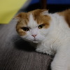 連休中は映画でも観て過ごそうと思っていた。