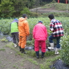 5月10日くもりのち雨☁