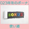 2023年冬のボーナス 仕事を頑張るモチベーションに使う