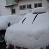 It had a lot of snowfall last night in Nozawa village.