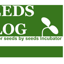 SEEDS BLOG for seeds by Seeds Incubator