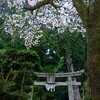 宇治田原天神社・奥稲荷