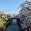 イベント