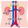 原発性アルドステロン症