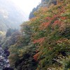 奥秩父への150km。峠や紅葉、SLにループ橋など大満足。