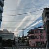 （巻四十三）デジタルの世にながらへて蝿叩(脇坂規良)