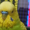 ５月９日の相場を見てみたよ　チュン