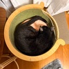 ただいま、のんちゃん。