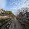 奥深い魅力に満ちた街にて一泊二日