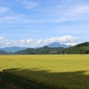 ちょこっと気分転換