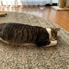 小さなタスク