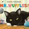 Wiesnerさんのイマジネーション爆発のコールデコットオナー賞受賞作品『Mr. Wuffles!』のご紹介