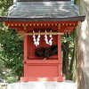 神社の建物に住んでいるモヒカンみたいな鳥