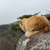 久しぶりに、荒地山に登りました