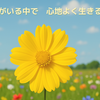 【言えない自分】を変えようとする前に、やってほしいこと。