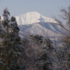 今朝は米山が綺麗