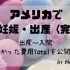 アメリカ<ハワイ> 妊娠・出産にかかった費用トータルを公開完結編！出産～入院まで at カピオラ二病院　