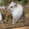 つぶあん413日目