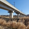 今度は蓮沼川の下流へ行ってみた　前編　「新都市中央通り〜土浦板東線」