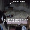 かみさん盗撮ですよ～