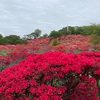 あなたの言葉Ⅱ 2017/4/21