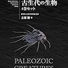 💫４｝─２・Ａ─カンブリア紀大爆発。大量絶滅のオルドビス紀・デボン紀後期・ペルム紀。５臆４１００万年前。〜No.28No.29No.30　＊　