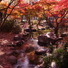 梅小路公園　（ご近所のみなさま編）