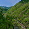新緑の阿哲峡を往く、国鉄色381系の特急「やくも」を撮る！