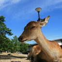 宴もたけなわ