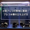 小型プレコの繁殖に最適！プレコ水槽の立ち上げ方