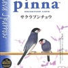 今Windows95　CDソフト　Pinna サクラブンチョウというゲームにとんでもないことが起こっている？