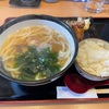 青森県八戸市/てんまるさんの4月17日まで限定の貝つくしうどんを食べて来ました。