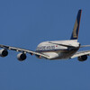  SQ 9V-SKR A380-800