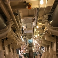 念願 号泣したサザンオールスターズライブ キミはみてくれが悪いんだから マイクでも握ってろだと ふざけるな ツアー19 札幌ドーム2日目 たびっこ動物 念願 号泣したサザンオールスターズライブ キミはみてくれが悪いんだから マイクでも握ってろだと ふざけるな ツアー19 札幌ドーム2日目 たびっこ動物