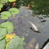 仲良かったはずの 友だちの、イヤな 部分が見えてきたとき
