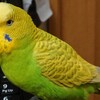 ３月１８日の相場を見てみたよ　チュン
