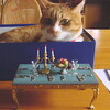 猫の飼い方