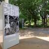 奇才！天才！版画家エッシャーの謎を解く８つの世界。ミラクル・エッシャー展