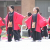 Sun.　ヤートセ秋田祭り・ほたるぶくろ