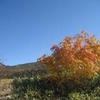 勝俣部長の「高尾登山と健康体質作り」７１３････保管しただけでは　ね