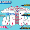 【気象学勉強】第62回 台風の構造