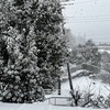 大雪警報⛄