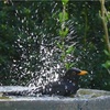 【発症27日目】夏の入浴法、冬の入浴法