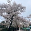 感謝と再出発の道
