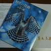 漸く撮れた、オオタカのホバリング・・・若（幼鳥）。