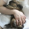 ぽてこの病院