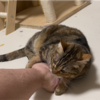 可愛さと痛さの板挟みに合いました…