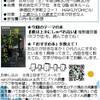 １２歳から１９歳までの読書会参加者募集、8月5日(土)午後3時２０分~新宿ポプラ社絵本ルーム。テーマ本『僕は上手にしゃべれない』椎野直弥著