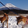 富士山、世界文化遺産登録へ　 （第１３８７話）